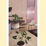 Agradecimiento Sponsor